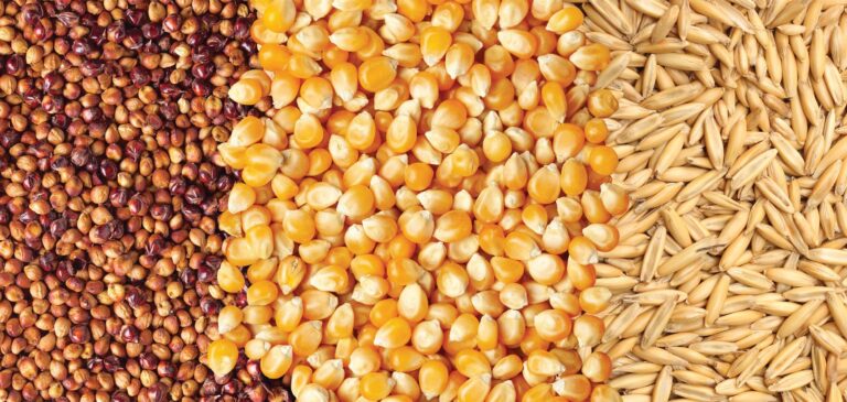 Liquid chromatography in the food industry