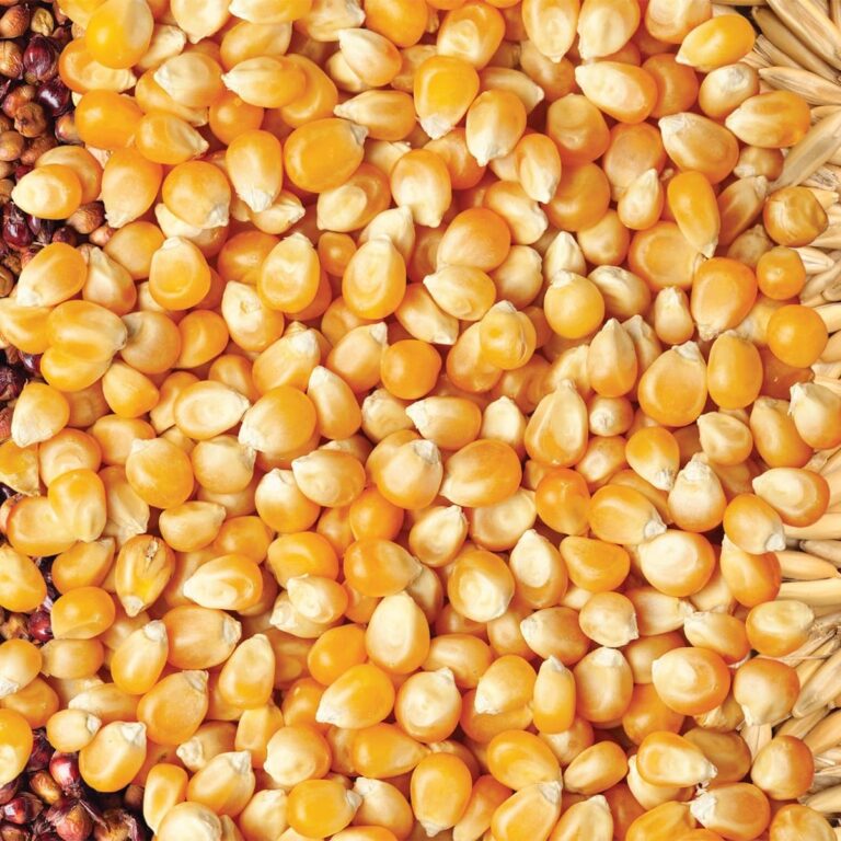 Liquid chromatography in the food industry