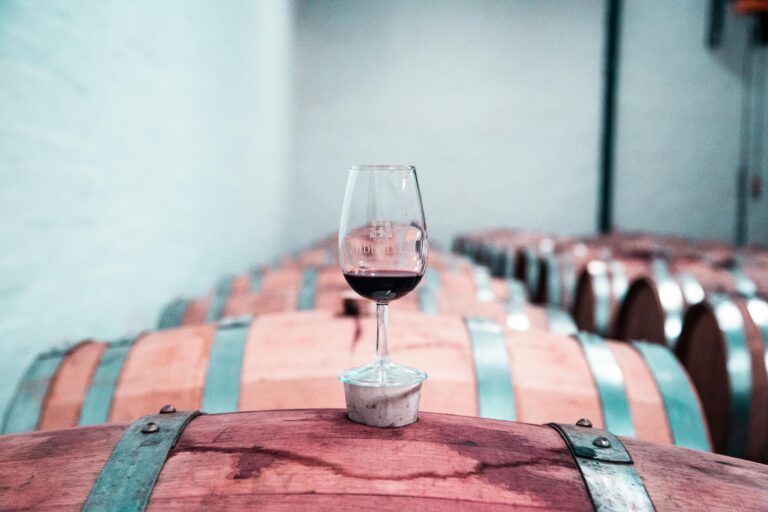 Innovation in the wine-based beverages